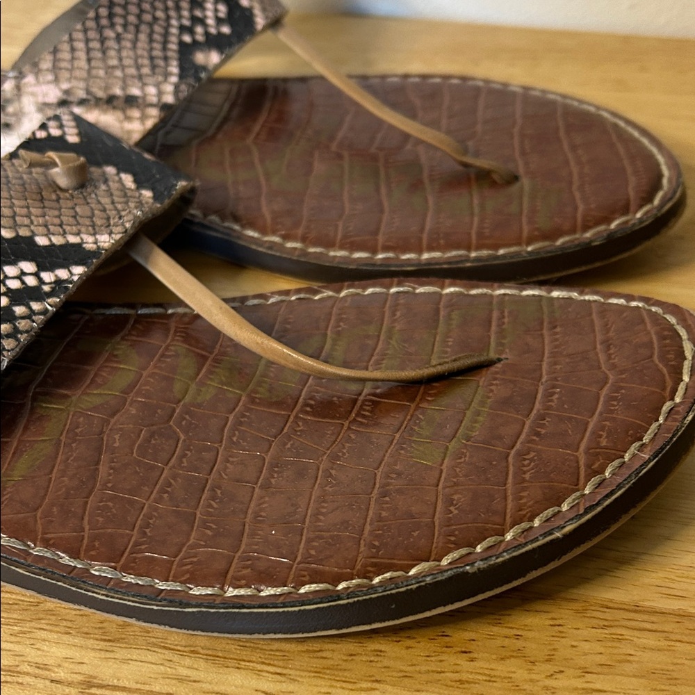 Sam Edelman Snakeskin and Brown Sandals - Picture 6 of 7
